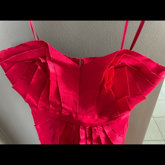 Never worn! Beautiful cocktail dress-flushia color NWOT - Picture 5 of 6